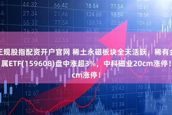 正规股指配资开户官网 稀土永磁板块全天活跃，稀有金属ETF(159608)盘中涨超3%，中科磁业20cm涨停！